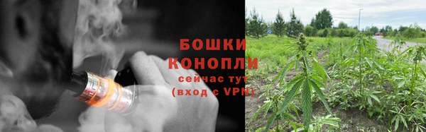 соль ск Липки