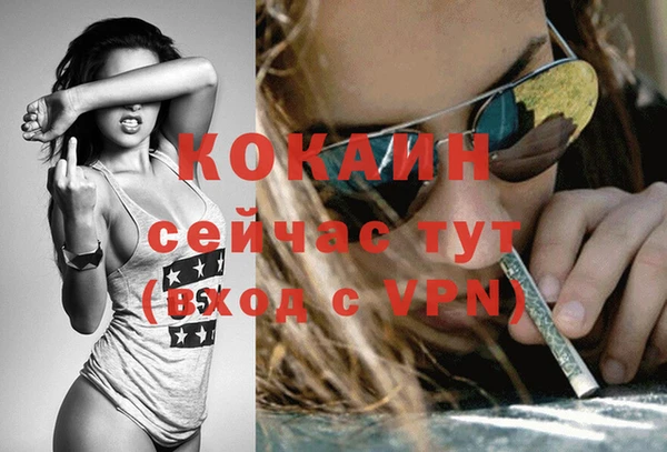 соль ск Липки