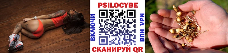 Псилоцибиновые грибы мицелий  Торопец 